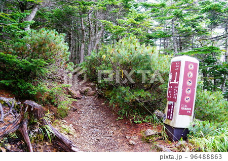 南アルプス　塩見岳　塩見新道分岐 96488863