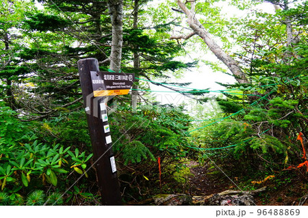 南アルプス　塩見新道分岐　通行止め 96488869