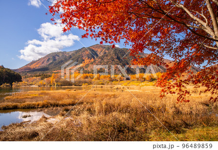 秋の大滝川ダムに映る紅葉の山々と青空 秋の大滝川ダムに映る紅葉の山々と青空 96489859
