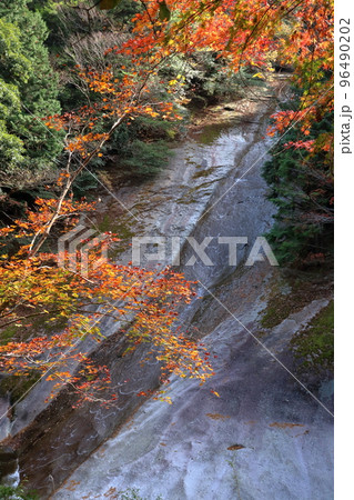 雪輪の滝 紅葉 滑床渓谷 (愛媛県 松野町) 雪輪の滝 紅葉 滑床渓谷 (愛媛県 松野町) 96490202