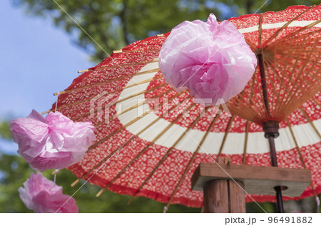 くり祭　傘　花飾り　日本傘　神楽　江戸の里神楽　大國魂神社　栗の露店販売 96491882