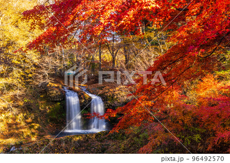 秋の紅葉に彩られる富士吉田市 鐘山の滝 96492570