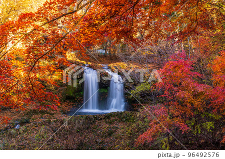 秋の紅葉に彩られる富士吉田市 鐘山の滝 96492576