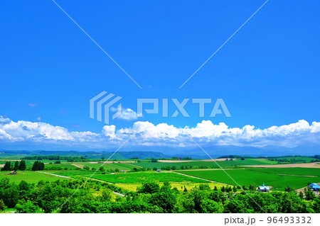 夏の北海道 美瑛町 千代田の丘展望台からの眺望 夏の北海道 美瑛町 千代田の丘展望台からの眺望 96493332