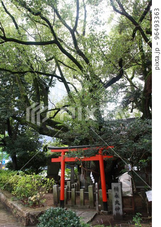 靱公園内にある「楠永神社」 靱公園内にある「楠永神社」 96493363