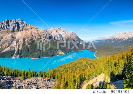 Banff National Park, Alberta, Canada. A huge panorama of Lake Peyto. Banff National Park, Alberta, Canada. A huge panorama of Lake Peyto. 96493402