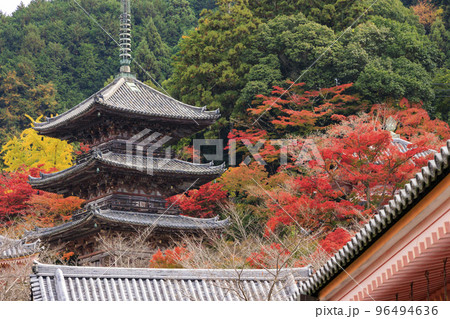 紅葉見頃な壺阪寺 紅葉見頃な壺阪寺 96494636
