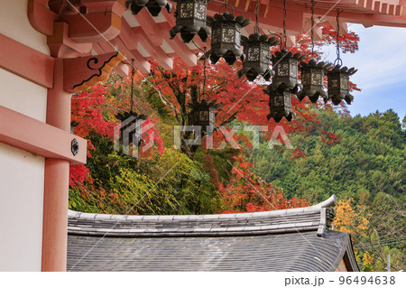 紅葉見頃な壺阪寺 96494638