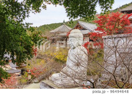 紅葉見頃な壺阪寺 紅葉見頃な壺阪寺 96494648