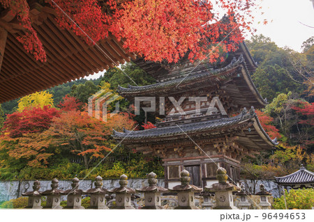 紅葉見頃な壺阪寺 紅葉見頃な壺阪寺 96494653