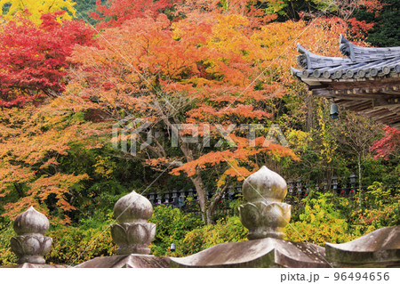 紅葉見頃な壺阪寺 紅葉見頃な壺阪寺 96494656