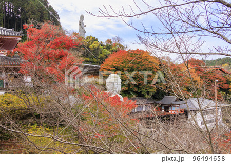 紅葉見頃な壺阪寺 96494658