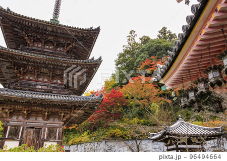 紅葉見頃な壺阪寺 96494664
