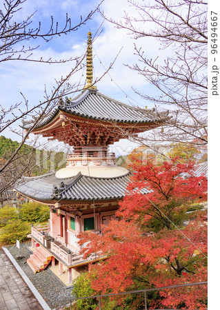 紅葉見頃な壺阪寺 紅葉見頃な壺阪寺 96494667