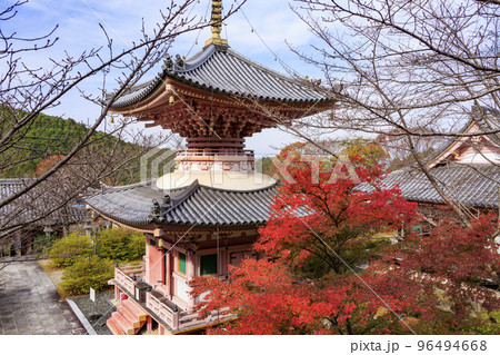 紅葉見頃な壺阪寺 96494668