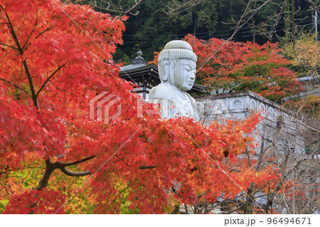 紅葉見頃な壺阪寺 紅葉見頃な壺阪寺 96494671