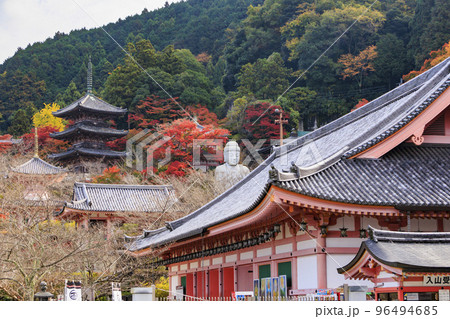 紅葉見頃な壺阪寺 紅葉見頃な壺阪寺 96494685