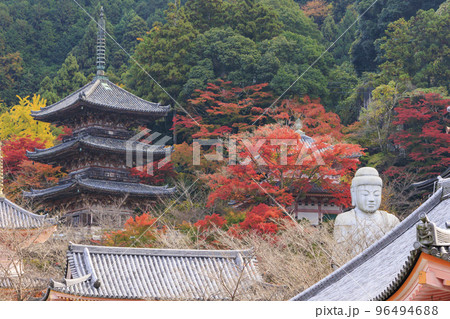 紅葉見頃な壺阪寺 96494688