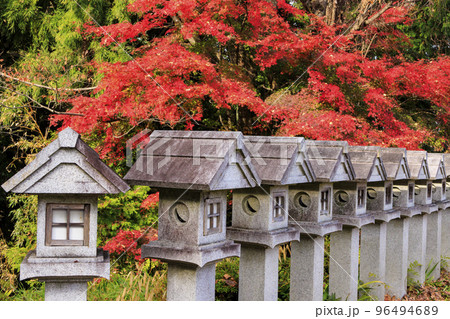紅葉見頃な壺阪寺 96494689