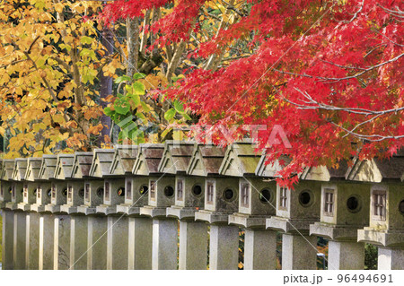紅葉見頃な壺阪寺 紅葉見頃な壺阪寺 96494691