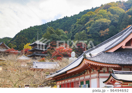 紅葉見頃な壺阪寺 紅葉見頃な壺阪寺 96494692