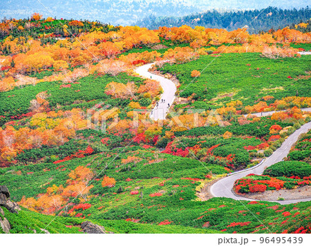 紅葉の乗鞍高原 [改良版] 96495439