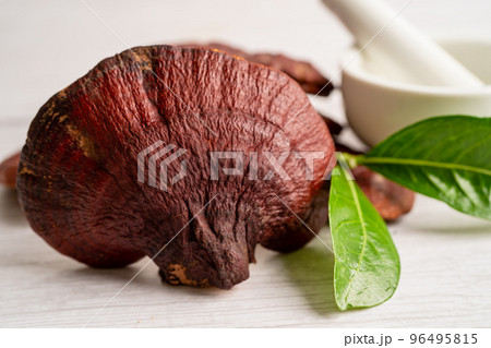 Dried lingzhi mushroom with capsule drug, alternative medicine herbal organic herb. Dried lingzhi mushroom with capsule drug, alternative medicine herbal organic herb. 96495815