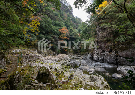 紅葉と渓谷の綺麗な秋の長門峡 【山口県】 紅葉と渓谷の綺麗な秋の長門峡 【山口県】 96495931