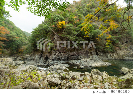 紅葉と渓谷の綺麗な秋の長門峡 【山口県】 紅葉と渓谷の綺麗な秋の長門峡 【山口県】 96496199