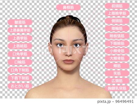 女性臉部肌肉名稱3D模型上半身臉部特寫圖 96496491