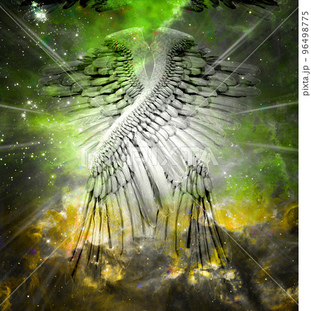 Angel Wings Angel Wings 96498775