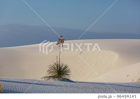 White sand dunes 96499145