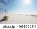 White sand dunes 96499154
