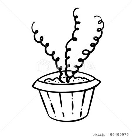Vector illustration of a flower in pot and sketch 96499976
