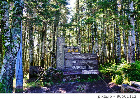 南アルプス　三伏峠 96501112