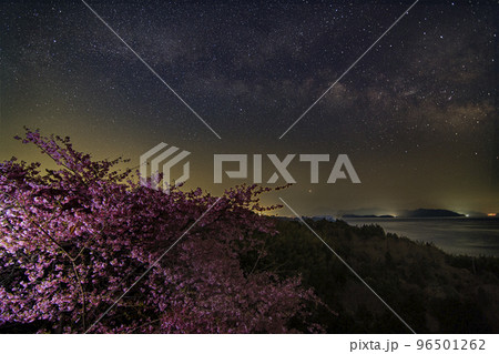 瀬戸内の早春の星景色 島の河津桜の空の天の川と白鳥座 瀬戸内の早春の星景色 島の河津桜の空の天の川と白鳥座 96501262