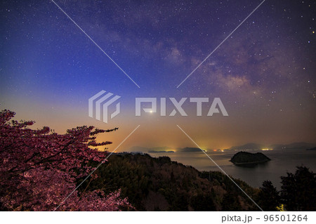 瀬戸内の早春の星景色　河津桜と朝焼け空の天の川 96501264