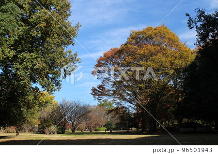 清原工業団地3号緑地 清原工業団地3号緑地 96501943