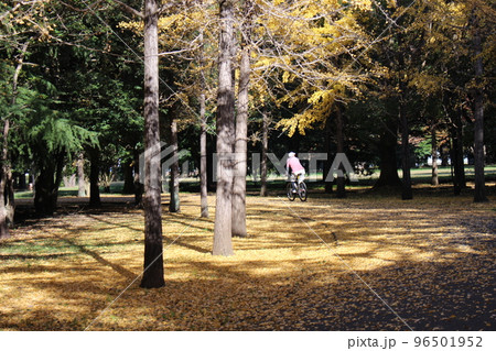 清原工業団地3号緑地 清原工業団地3号緑地 96501952