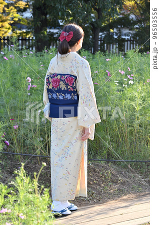 コスモス畑の和服女性 96503556