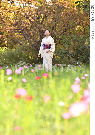 コスモス畑の和服女性 96503709
