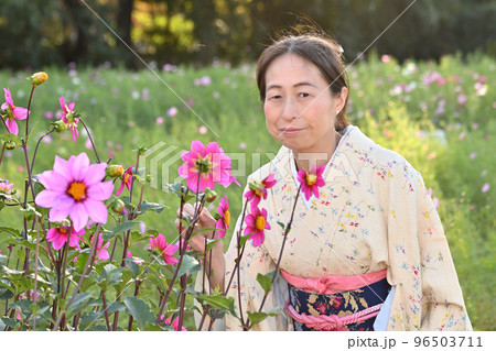 コスモス畑の和服女性 96503711
