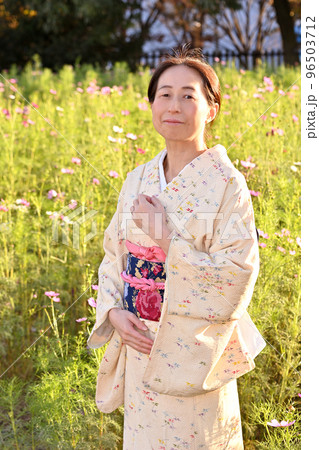 コスモス畑の和服女性 96503712