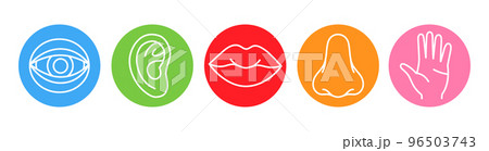 Five human senses line icons set. Vision, smell, hearing, touch, taste icons. Human sensory organs. Eye, nose, ear, hand, mouth icon set. 96503743