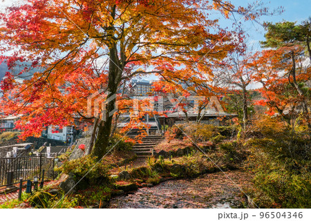 石段アルウィン公園の紅葉 石段アルウィン公園の紅葉 96504346