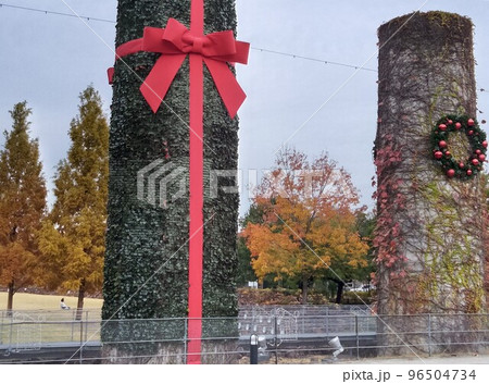 秋の街中の公園　紅葉のオアシス 96504734