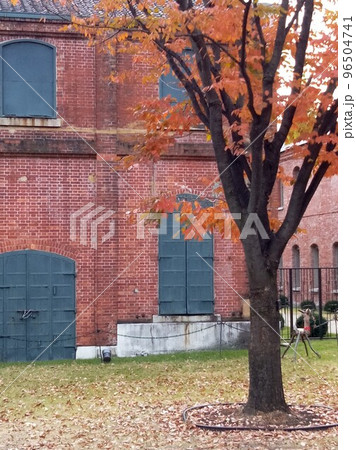 秋の街中の公園　紅葉のオアシス 96504741