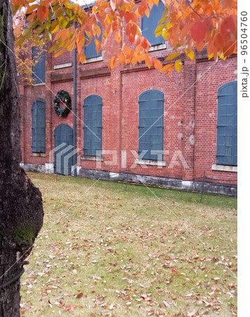 秋の街中の公園 紅葉のオアシス 秋の街中の公園 紅葉のオアシス 96504760