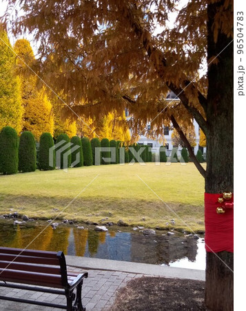 秋の街中の公園　紅葉のオアシス 96504783