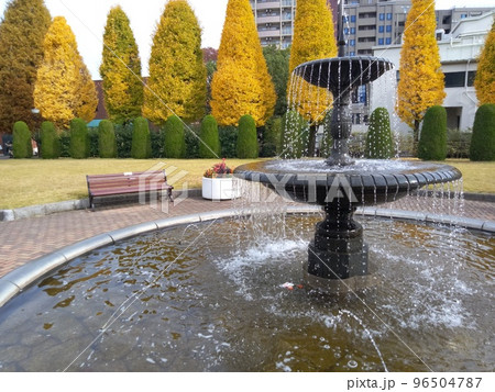秋の街中の公園　紅葉のオアシス 96504787